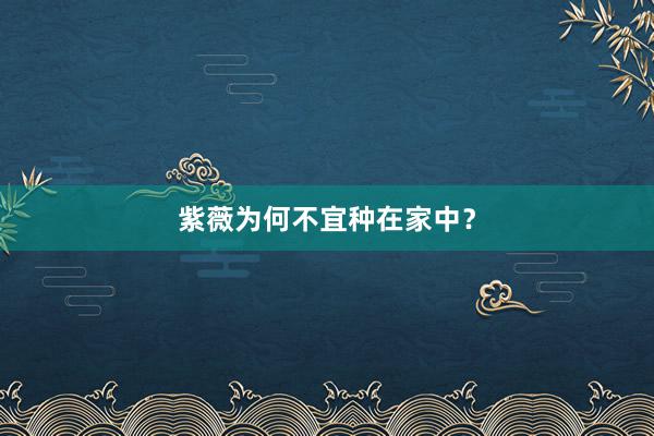 紫薇为何不宜种在家中？